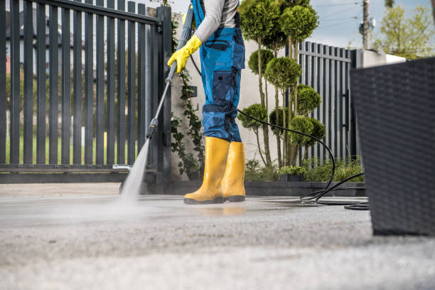 Best Driveway Pressure Washing  in Pleasant Valley, WV
